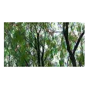 成都思達迪職業(yè)技術(shù)學校