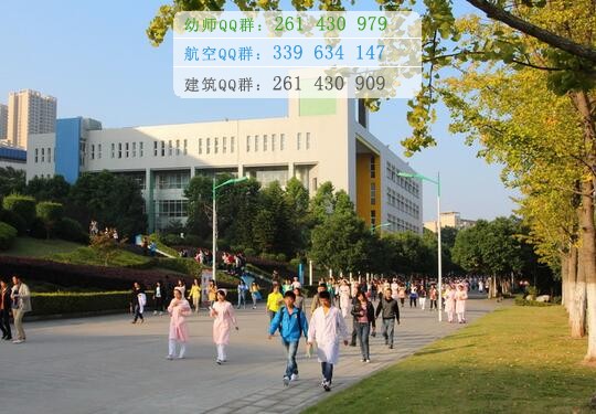 重慶三峽醫(yī)藥高等?？茖W校