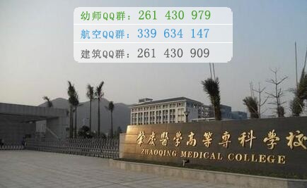 肇慶醫(yī)學(xué)高等?？茖W(xué)校