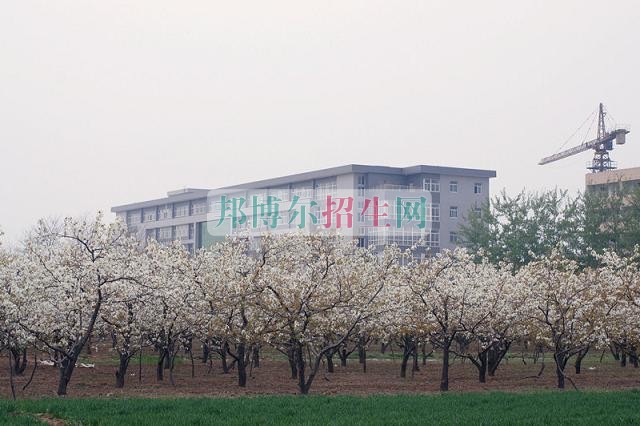 石家莊財經(jīng)職業(yè)學院是幾專