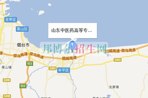 山東中醫(yī)藥高等?？茖W(xué)校