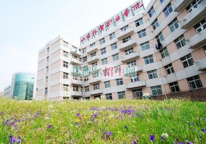 山東外貿(mào)職業(yè)學院是幾專