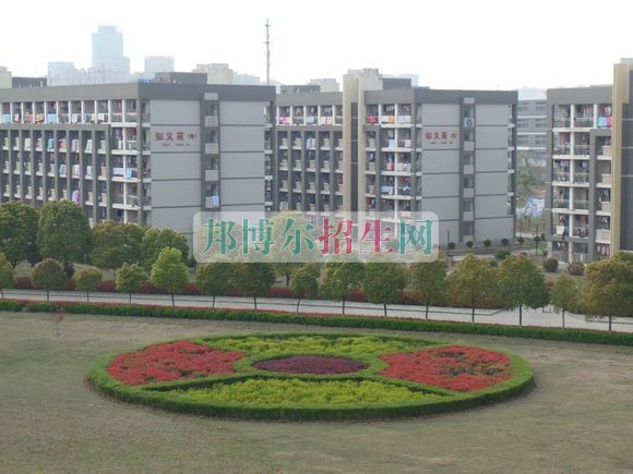 安徽國際商務職業(yè)學院是幾專