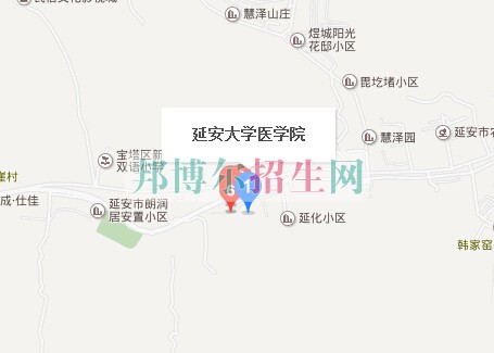 延安大學醫(yī)學院