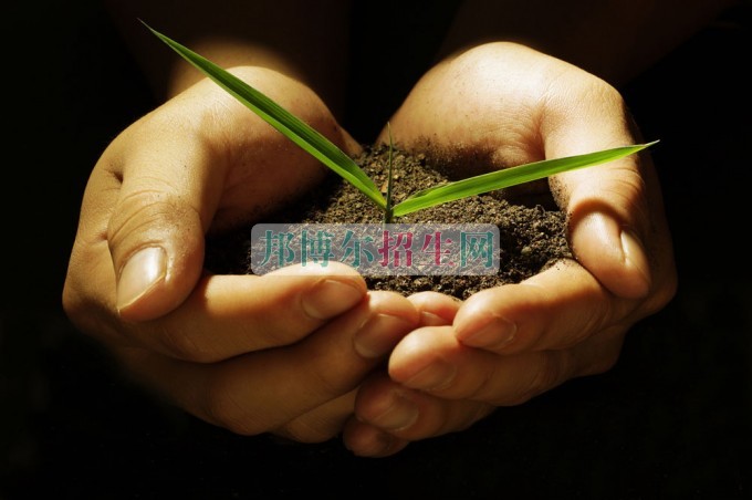 財務管理好就業(yè)嗎