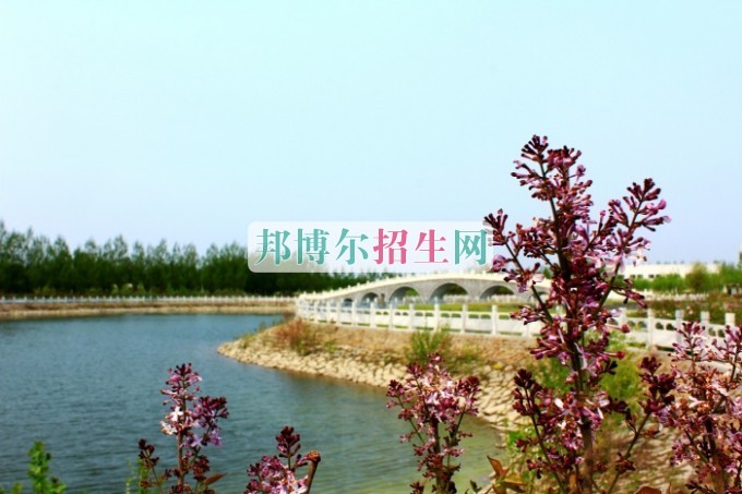 計算機網(wǎng)絡(luò)技術(shù)學校有哪些