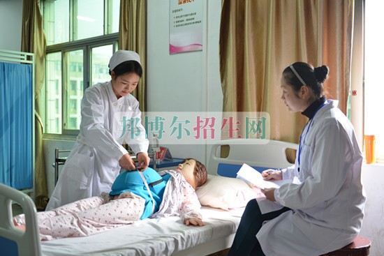 藥劑專業(yè)什么時間招生