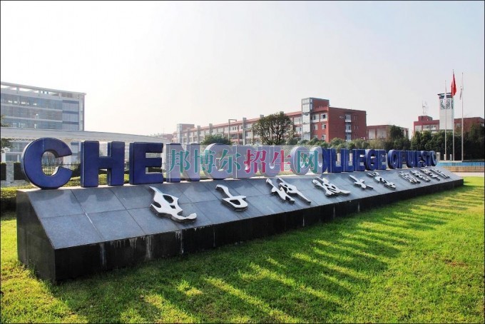 成都有軟件技術(shù)的大專大學