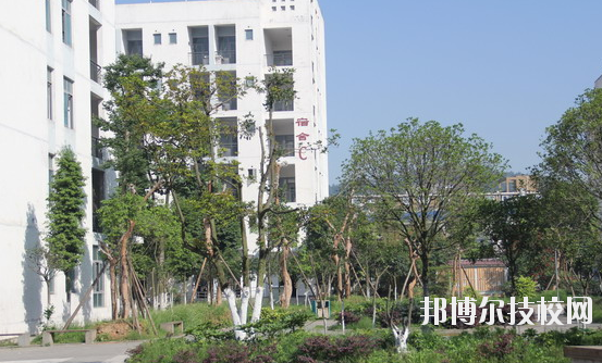 四川大邑職業(yè)高級中學5