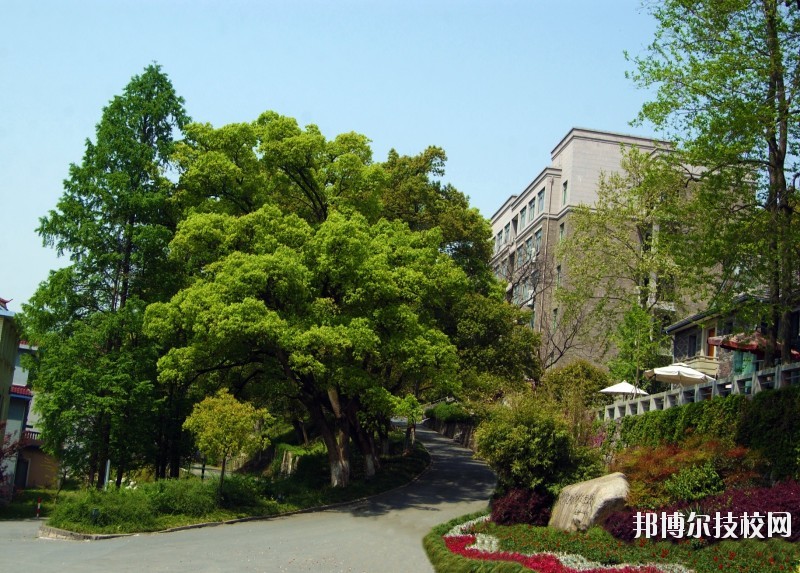 中國美術學院附屬中等美術學校2020年報名條件、招生要求、招生對象