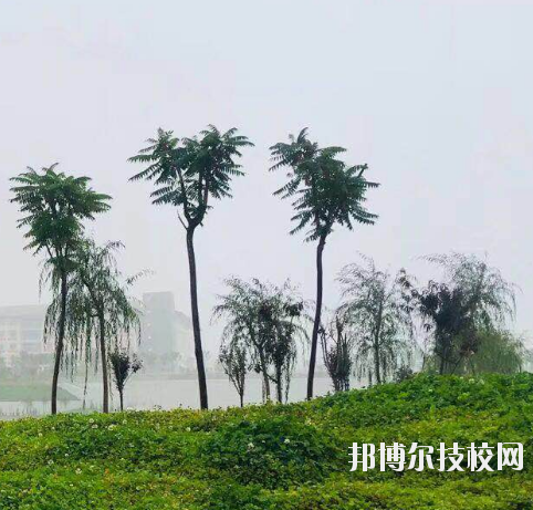 甘肅財貿(mào)職業(yè)學(xué)院2020年學(xué)費、收費多少
