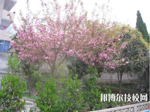 嵐皋縣中等職業(yè)技術(shù)學(xué)校2020年報(bào)名條件、招生要求、招生對(duì)象