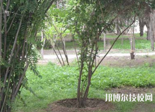 甘肅金城理工中等專業(yè)學校2020年招生辦聯(lián)系電話