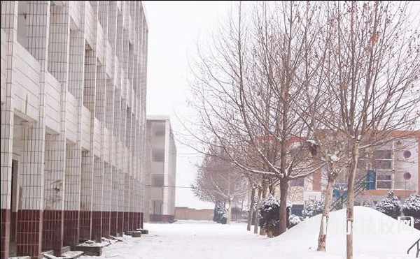 白水縣職業(yè)中等專業(yè)學(xué)校2020年報(bào)名條件、招生要求、招生對象