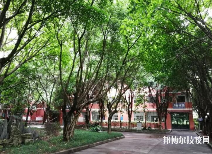 重慶舞蹈學(xué)校2020年報(bào)名條件、招生要求、招生對(duì)象