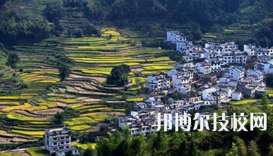 江西婺源茶葉學(xué)校2020年報(bào)名條件、招生要求、招生對(duì)象