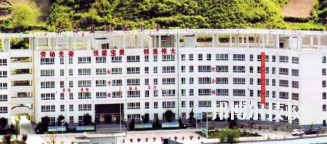 宕昌職業(yè)中等專業(yè)學校2020年招生簡章
