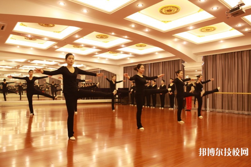 滄州職業(yè)技術(shù)學(xué)院2020年報名條件、招生要求、招生對象