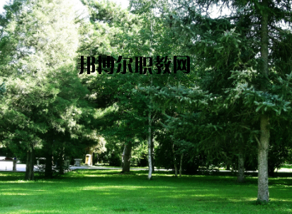 重慶計算機(jī)職業(yè)高級中學(xué)怎么樣、好不好