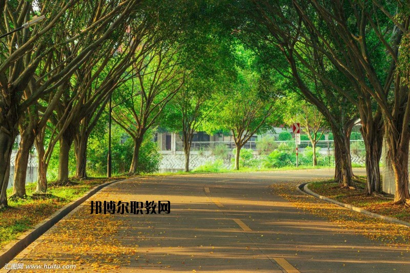 仙桃金園職業(yè)高級中學(xué)2020年報(bào)名條件、招生要求、招生對象