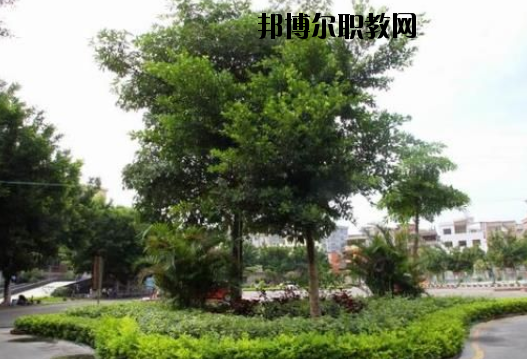 羅定中等職業(yè)技術學校2020年報名條件、招生要求、招生對象