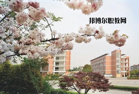 桐鄉(xiāng)衛(wèi)生學(xué)校2020年報(bào)名條件、招生要求、招生對象