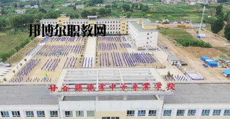 甘谷職業(yè)中等專(zhuān)業(yè)學(xué)校2020年報(bào)名條件、招生要求、招生對(duì)象