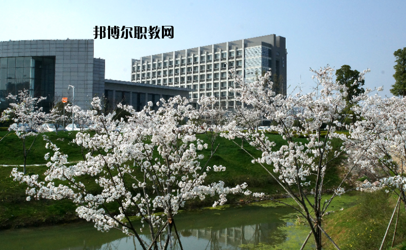 中國(guó)藥科大學(xué)2020年報(bào)名條件、招生要求、招生對(duì)象