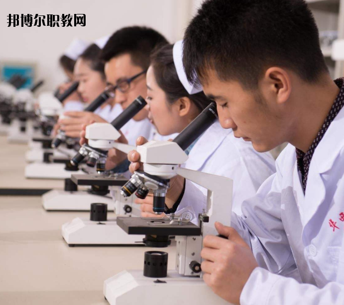 焦作護(hù)理學(xué)校怎么樣、好不好
