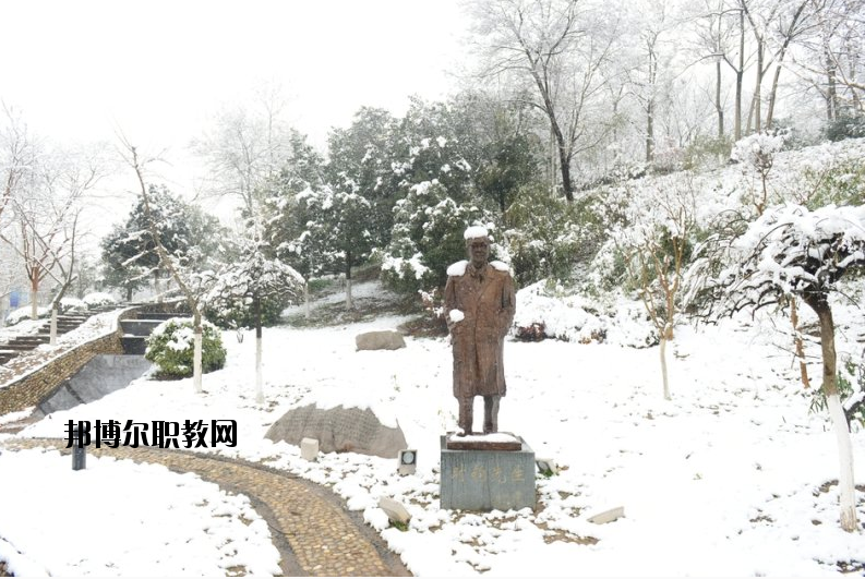 南京工業(yè)大學(xué)2020年報(bào)名條件、招生要求、招生對象