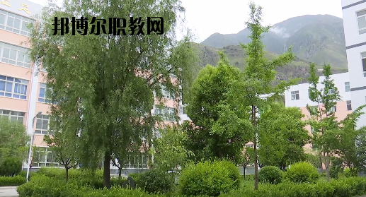 文縣職業(yè)技術(shù)學(xué)校2020年報名條件、招生要求、招生對象