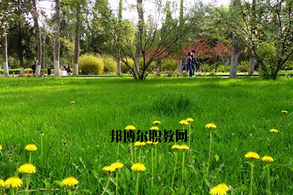雙江縣職教中心2020年報(bào)名條件、招生要求、招生對象