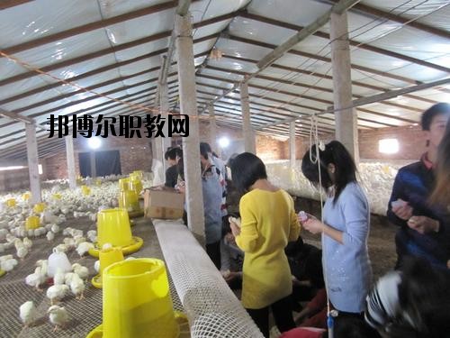 通許中等職業(yè)學(xué)校2021年學(xué)費(fèi)、收費(fèi)多少