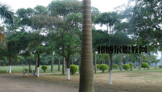 合浦石康職業(yè)技術(shù)學(xué)校怎么樣、好不好