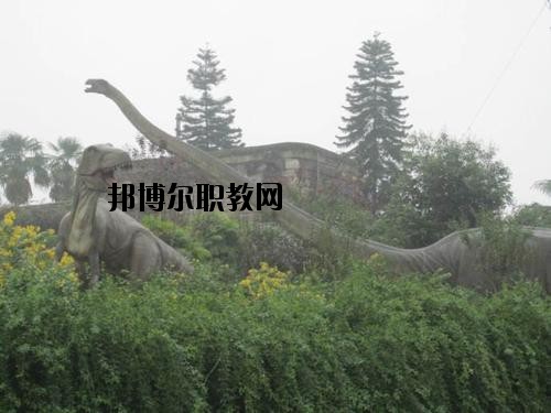 自貢三星職業(yè)技術(shù)學(xué)校2020年報名條件、招生要求、招生對象