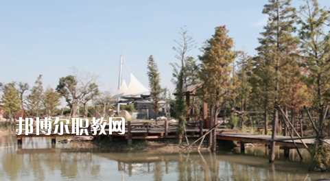 崇左八桂城市中等職業(yè)技術(shù)學(xué)校2020年招生辦聯(lián)系電話