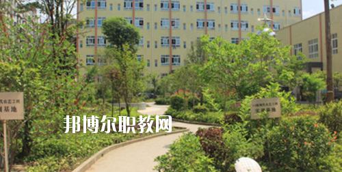 道真中等職業(yè)學(xué)校2020年報(bào)名條件、招生要求、招生對(duì)象