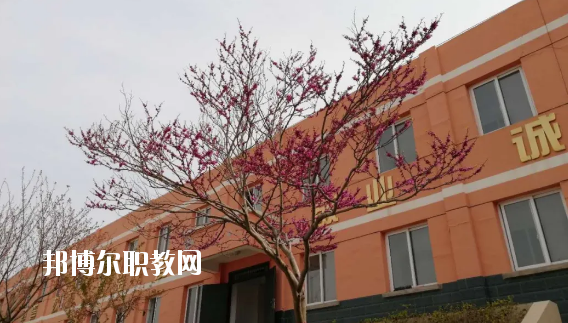 成縣化埡農(nóng)職業(yè)中學(xué)怎么樣、好不好