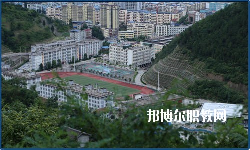 廣元朝天職業(yè)中學2020年報名條件、招生要求、招生對象