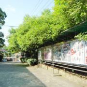 邵陽京華職業(yè)技術學校