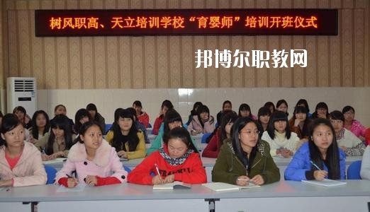 瀘州市樹風職業(yè)高級中學(xué)校地址在哪里