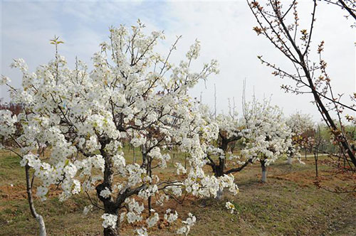 宿遷高等師范學(xué)校怎么樣、好不好
