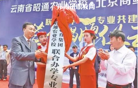 昭通農業(yè)學校2021年招生錄取分數(shù)線