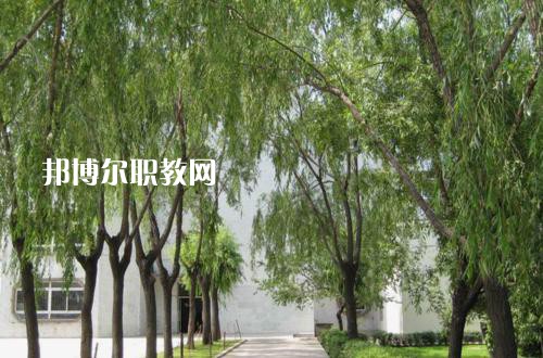 新疆喀什地區(qū)衛(wèi)生學(xué)校2021年報名條件、招生要求、招生對象