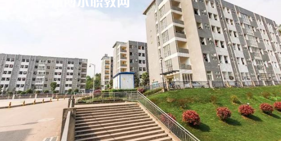 西安2022年中學畢業(yè)上什么