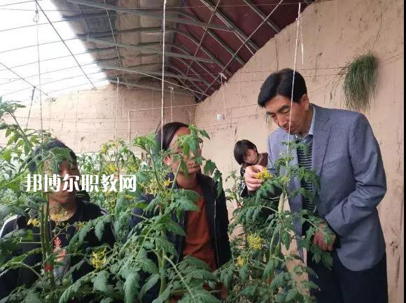 甘肅省臨夏州職業(yè)技術(shù)學校2022年學費、收費多少