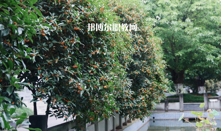 德陽(yáng)通用電子科技學(xué)校怎么樣、好不好