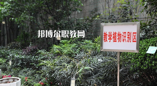 重慶風(fēng)景園林技工學(xué)校2022年學(xué)費、收費多少