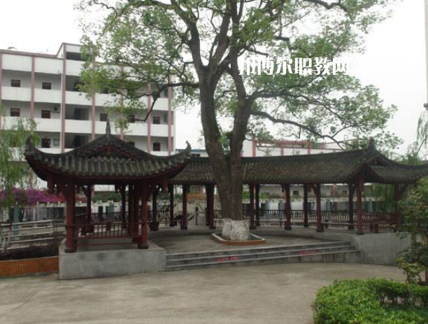 四川合江先市職業(yè)高級(jí)中學(xué)校怎么樣、好不好