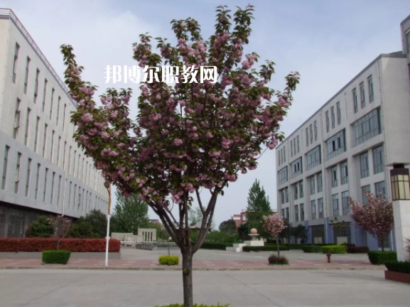 陳倉區(qū)職業(yè)教育中心2022年報名條件、招生要求、招生對象